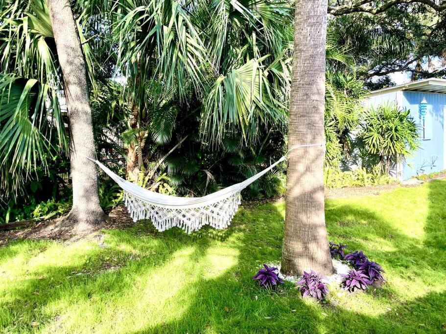 Cozy Sanctuary Minutes From The Bay And Beaches Tampa Exteriör bild
