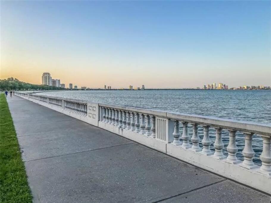 Cozy Sanctuary Minutes From The Bay And Beaches Tampa Exteriör bild