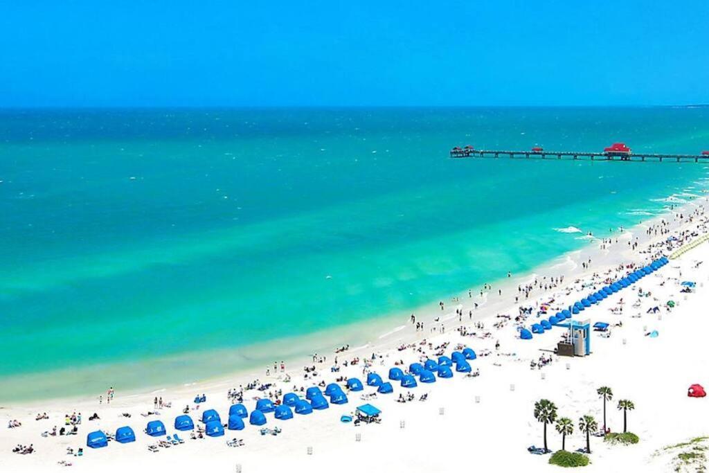 Cozy Sanctuary Minutes From The Bay And Beaches Tampa Exteriör bild
